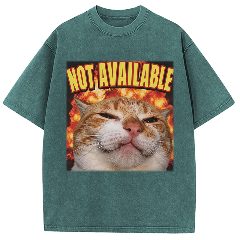 Tokyocanvas Not Available Cat Meme Washed T-Shirt