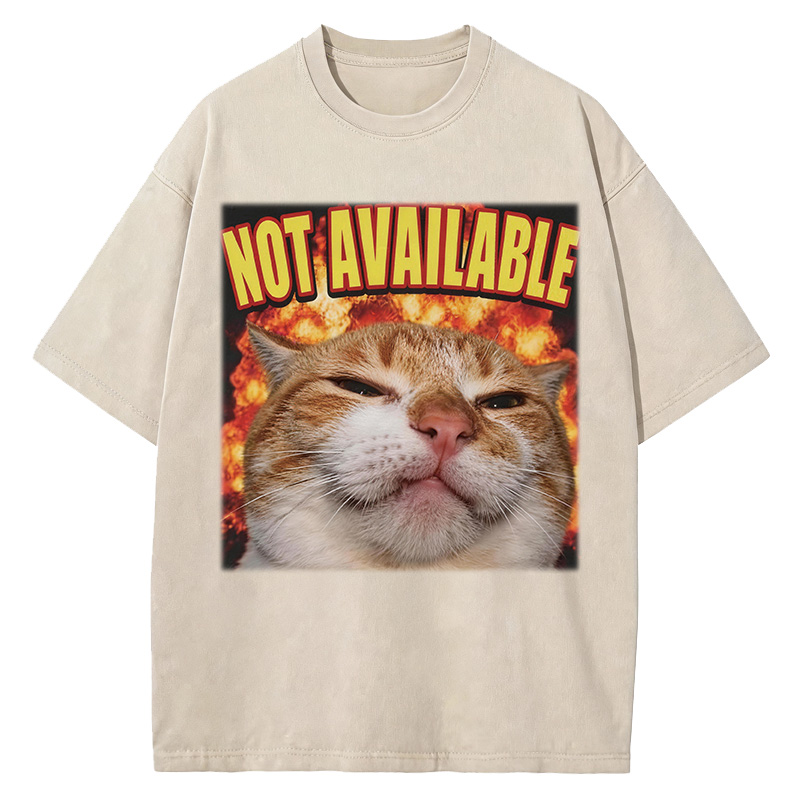 Tokyocanvas Not Available Cat Meme Washed T-Shirt