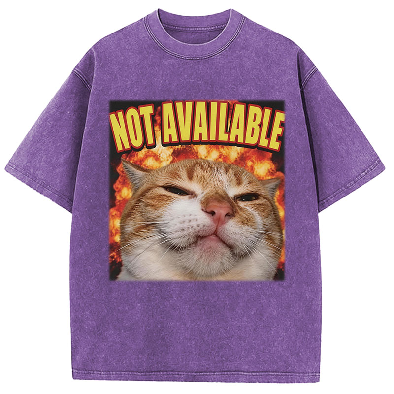 Tokyocanvas Not Available Cat Meme Washed T-Shirt