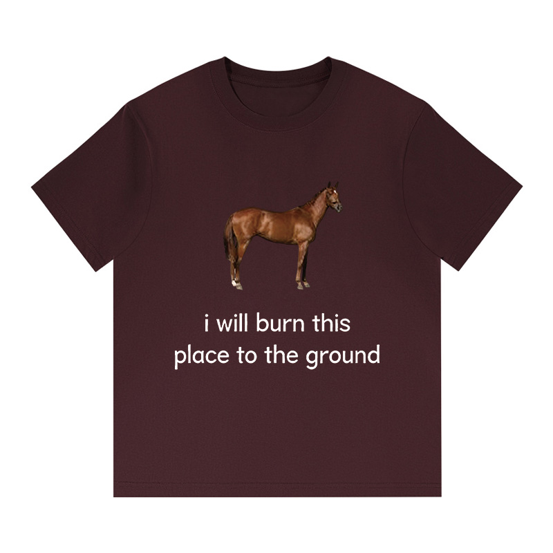 Tokyocanvas I Will Burn This Place To The Ground Boxy T-shirt