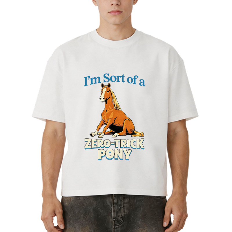 Tokyocanvas Zero Trick Pony Boxy T-Shirt