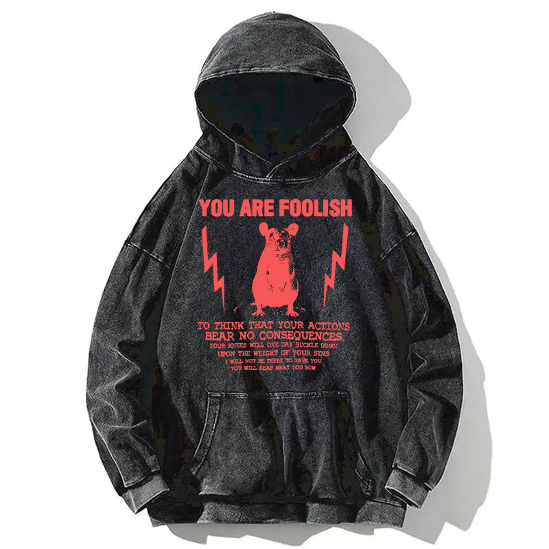 Tokyocanvas You Are Foolish Rat Meme Washed Hoodie