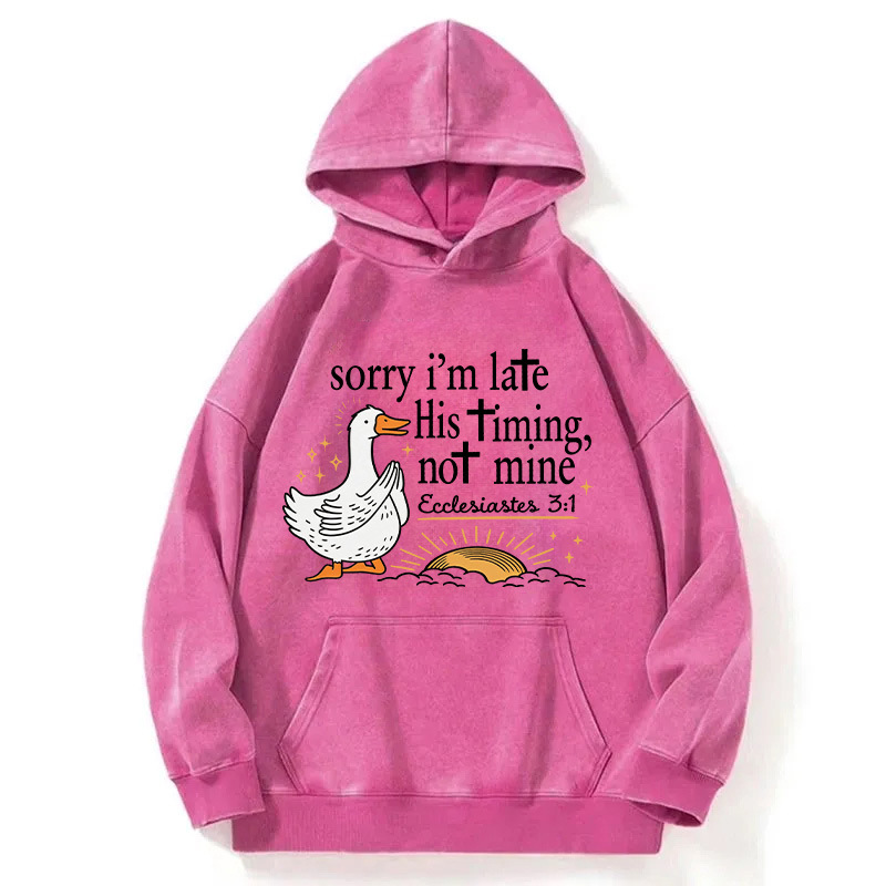 Tokyocanvas His Timing Not Mine Goose Washed Hoodie