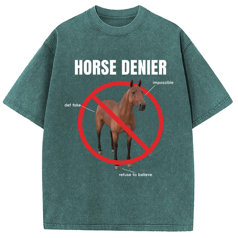 Tokyocanvas Horse Denier Analysis Washed T-Shirt