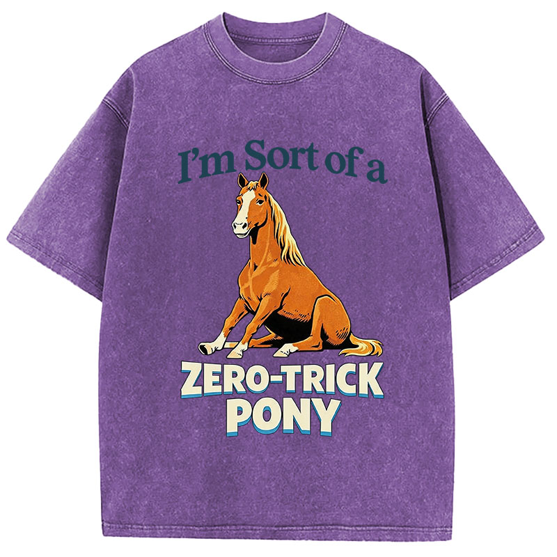 Tokyocanvas Zero Trick Pony Washed T-Shirt