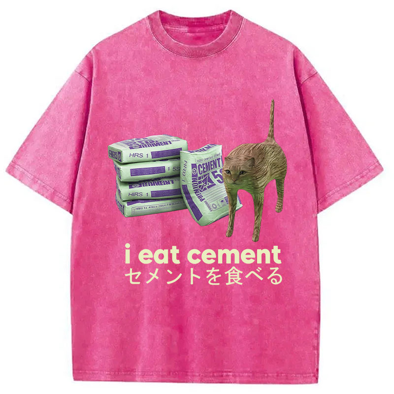Tokyocanvas Funny Internet Cement Cat Washed T-Shirt