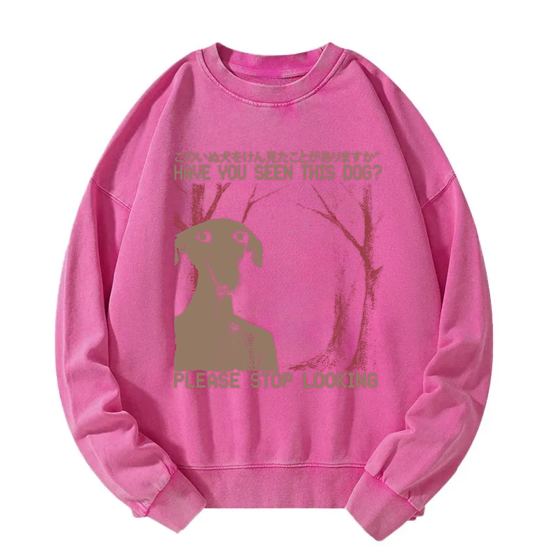 Tokyocanvas Have You Seen This Dog? Washed Sweatshirt