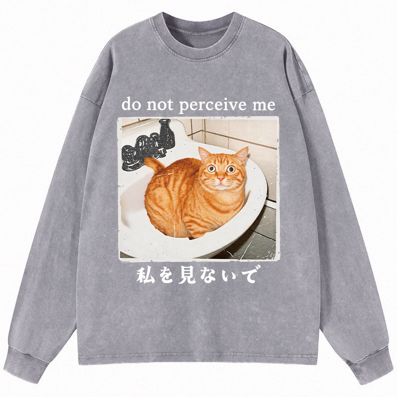 Tokyocanvas Do Not Perceive Me Long Sleeve Washed T-Shirt