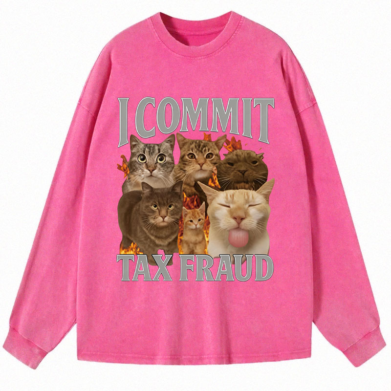 Tokyocanvas I Commit Tax Fraud Long Sleeve Washed T-Shirt