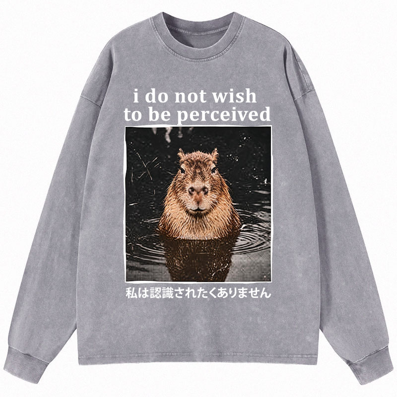 Tokyocanvas I Do Not Wish to Be Perceived Capybara Long Sleeve Washed T-Shirt