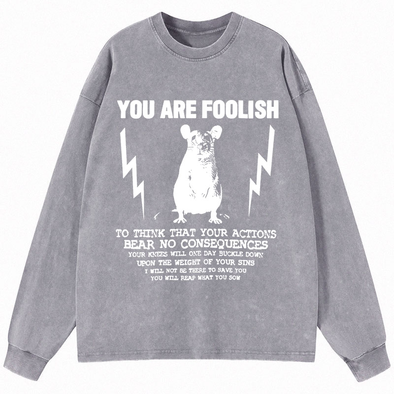Tokyocanvas You Are Foolish Rat Meme Long Sleeve Washed T-Shirt
