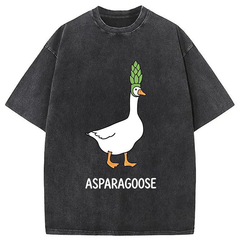 Tokyocanvas Asparagoose Washed T-Shirt