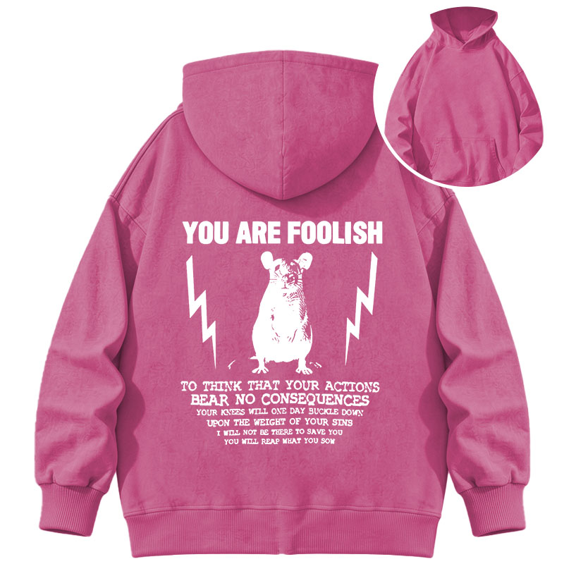 Tokyocanvas You Are Foolish Rat Meme Washed Hoodie