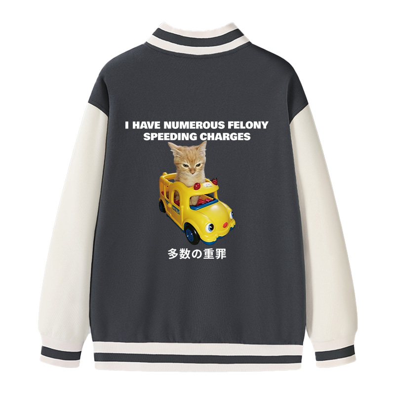 Tokyocanvas I Have Numerous Felonies For Speeding Varsity Jacket