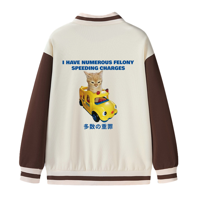 Tokyocanvas I Have Numerous Felonies For Speeding Varsity Jacket