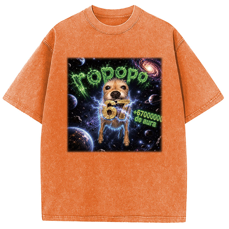 Tokyocanvas Ropopo Aura Dog Washed T-Shirt