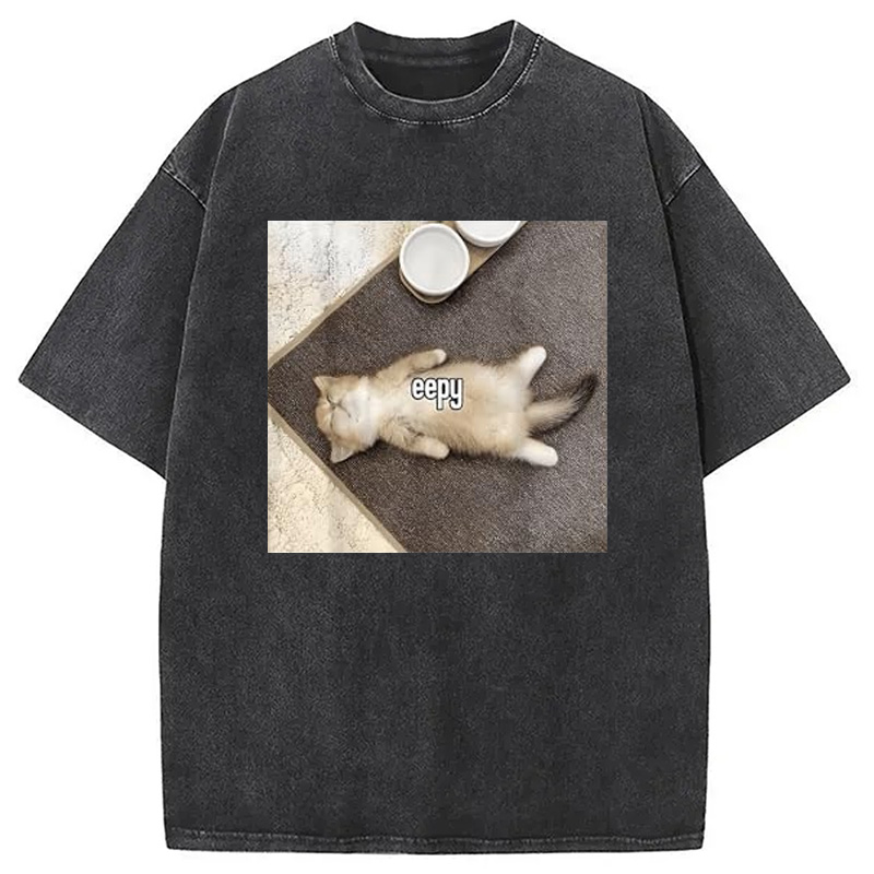 Tokyocanvas Eepy Funny Cat Meme Washed T-Shirt
