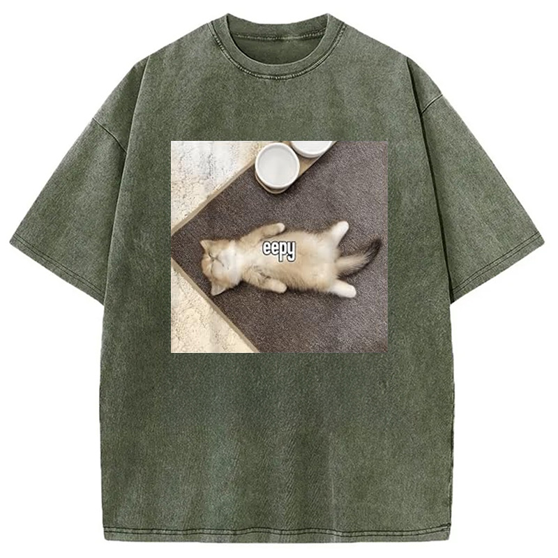Tokyocanvas Eepy Funny Cat Meme Washed T-Shirt