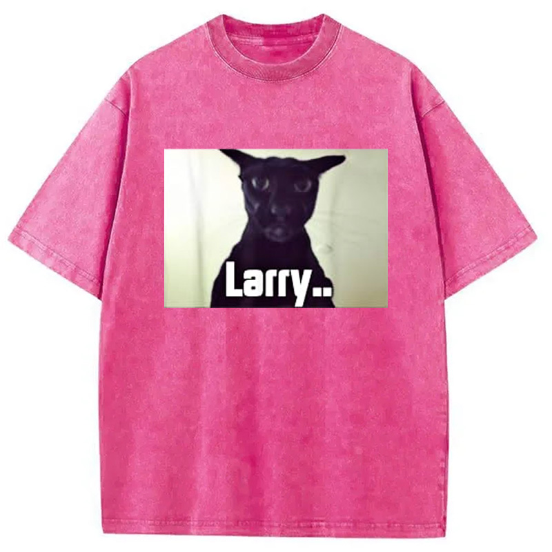 Tokyocanvas Evil Larry Meme Larry Cat Meme Washed T-Shirt