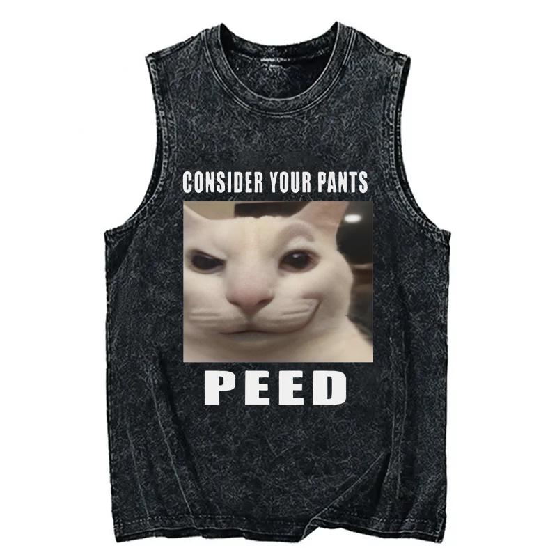 Tokyocanvas Consider Your Pants Peed Meme Washed Tank