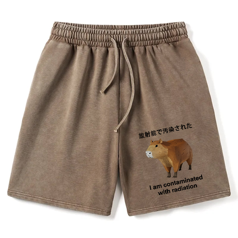 Tokyocanvas Capybara Contaminated By Radiation Washed Shorts