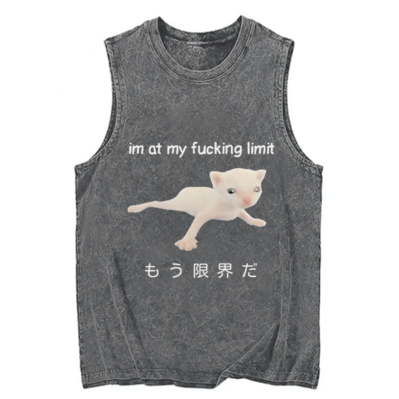 Tokyocanvas Cat Reaching Its Limit Washed Tank