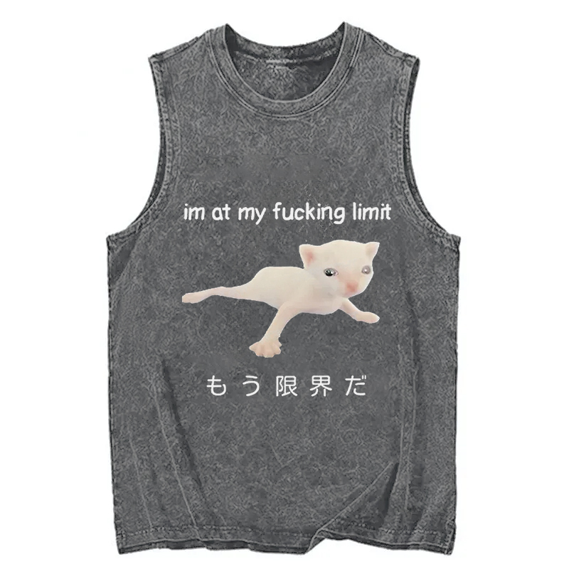 Tokyocanvas Cat Reaching Its Limit Washed Tank