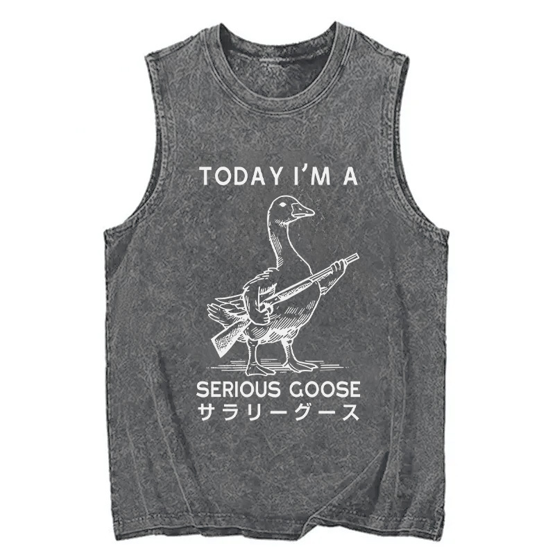 Tokyocanvas Serious Stupid Goose Washed Tank