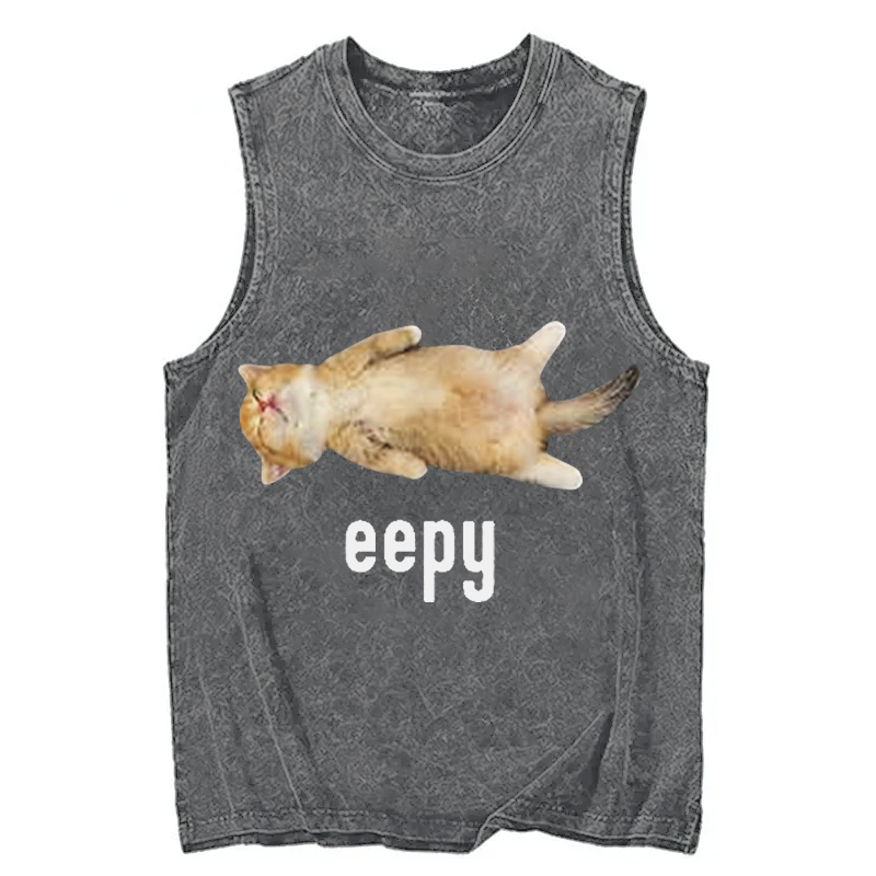 Tokyocanvas Silly Sleepy Cat Meme Washed Tank