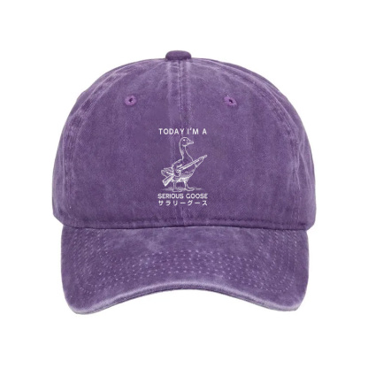 Tokyocanvas Serious Stupid Goose Washed Cap