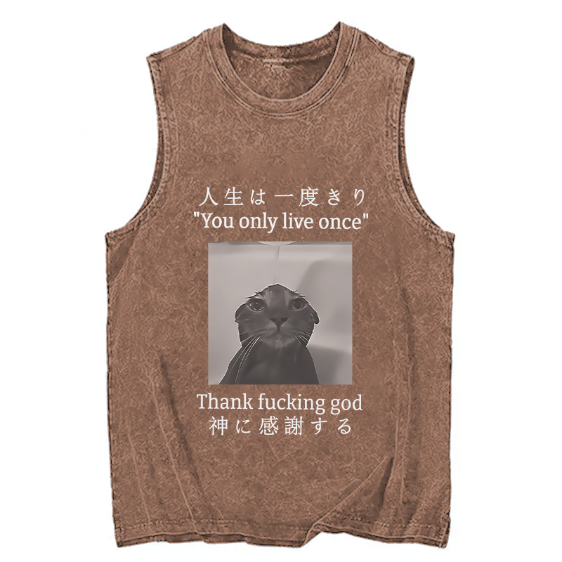 Tokyocanvas Funny Melancholy Cat Washed Tank
