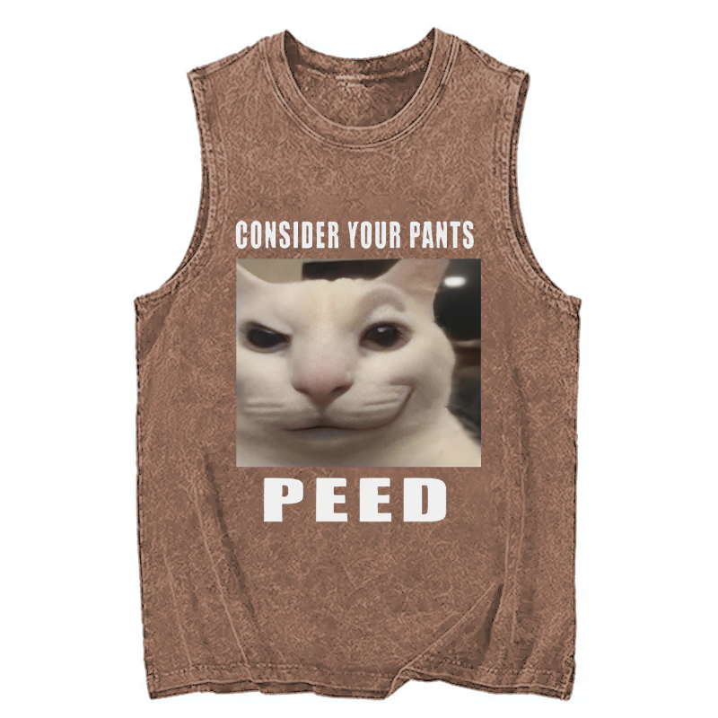 Tokyocanvas Consider Your Pants Peed Meme Washed Tank