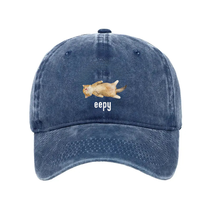 Tokyocanvas Silly Sleepy Cat Meme Washed Cap