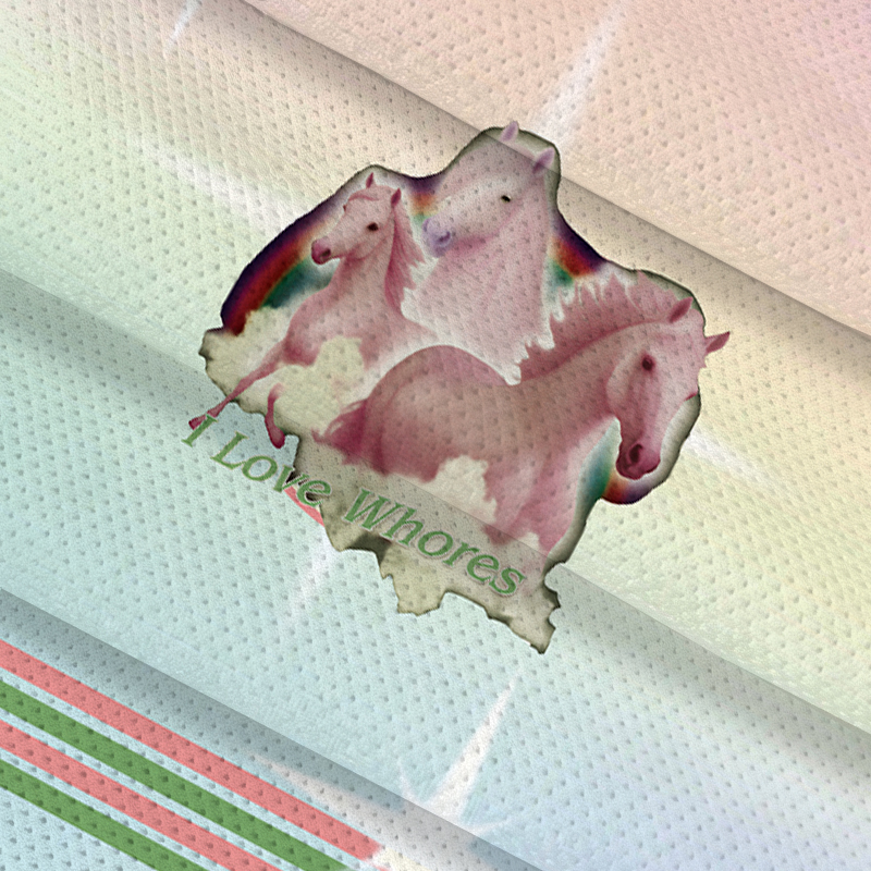 Tokyocanvas I Love Whores Jersey Short