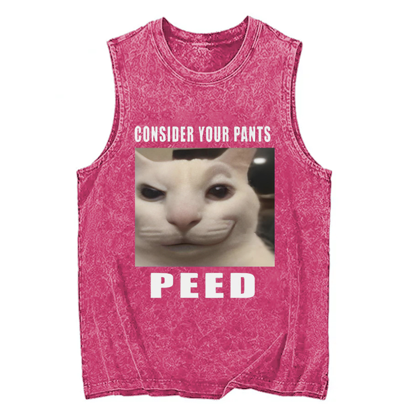 Tokyocanvas Consider Your Pants Peed Meme Washed Tank