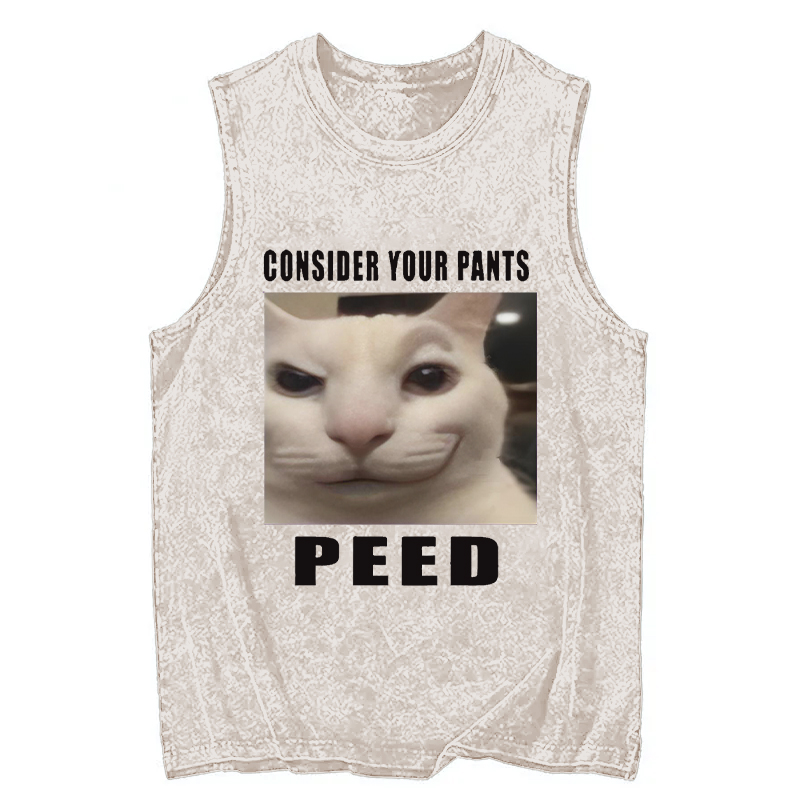 Tokyocanvas Consider Your Pants Peed Meme Washed Tank