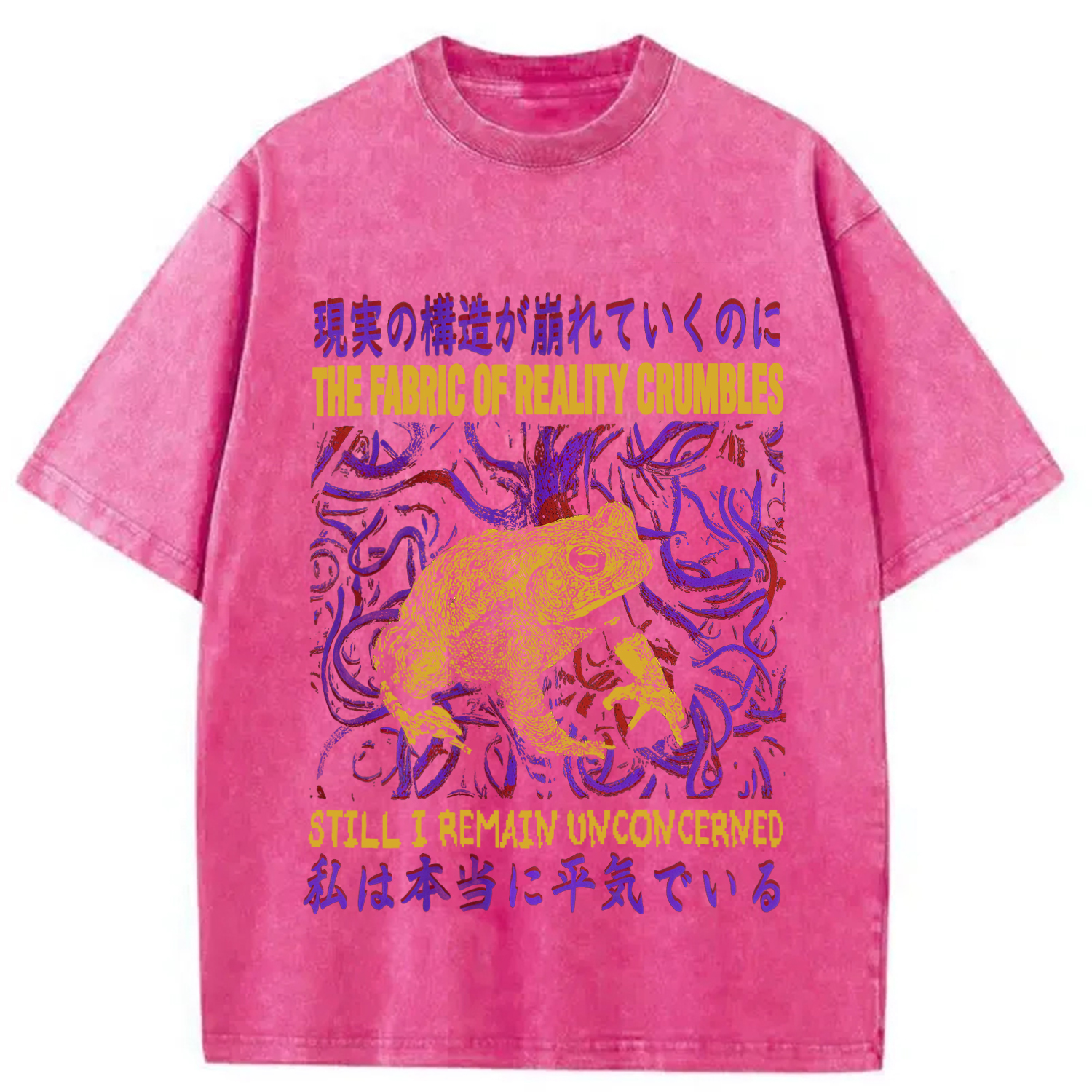 Tokyocanvas Fabric of Reality Crumbles Still I Remain Unconcerned Washed T-Shirt