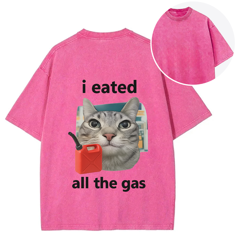 Tokyocanvas I Eated All The Gas Cat Funny Back Washed T-Shirt
