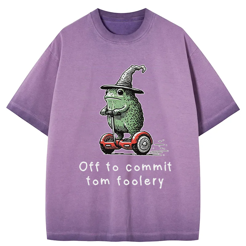 Tokyocanvas Frog Riding A Balance Scooter Gradient Washed T-Shirt
