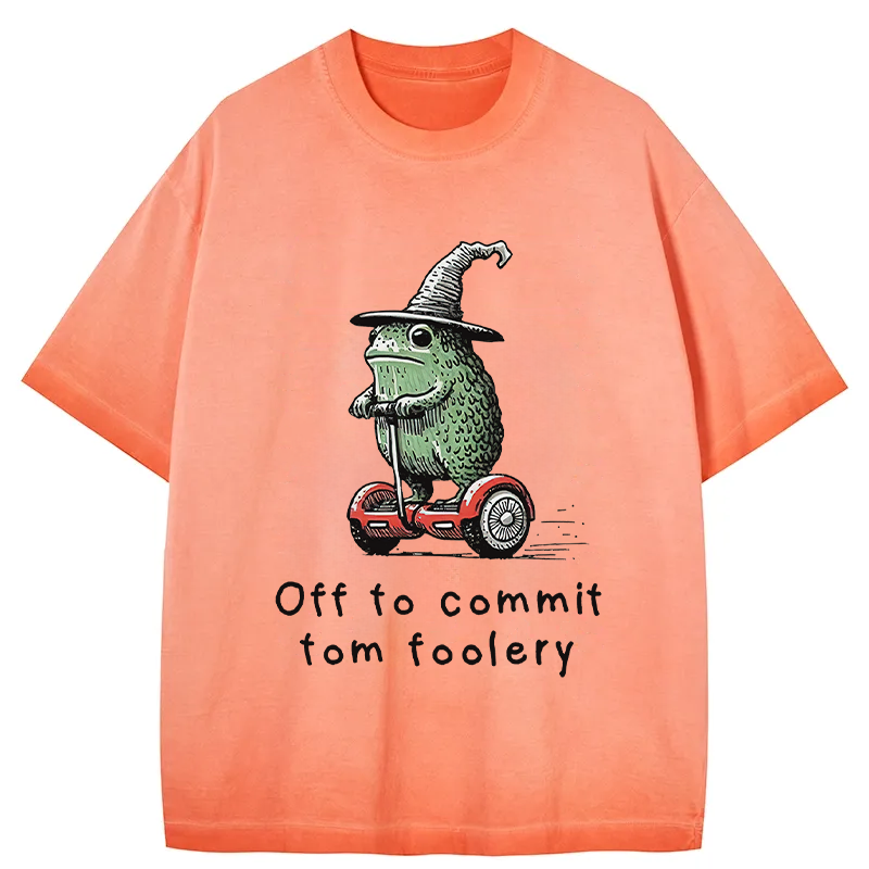 Tokyocanvas Frog Riding A Balance Scooter Gradient Washed T-Shirt