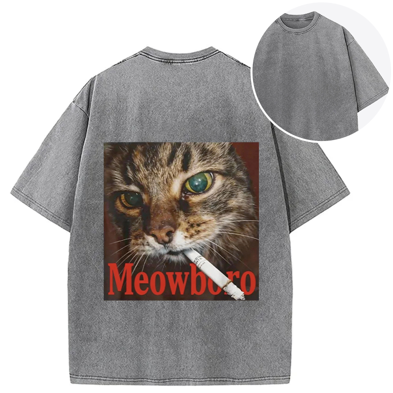 Tokyocanvas Funny Smoking Cat Meme Back Washed T-Shirt