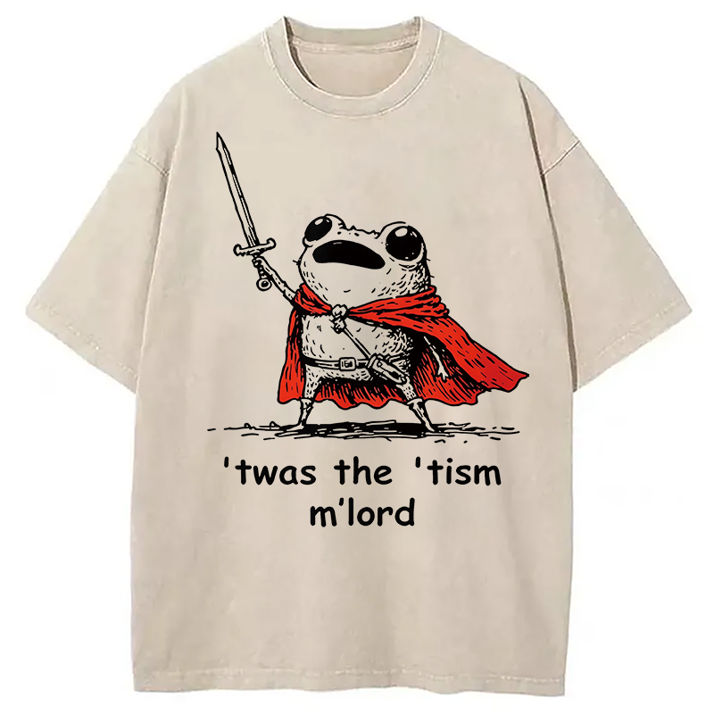 Tokyocanvas Twas The Tism M Lord Meme Washed T-Shirt