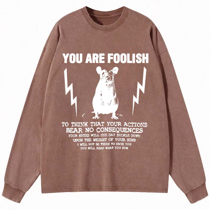Tokyocanvas You Are Foolish Rat Meme Long Sleeve Washed T-Shirt