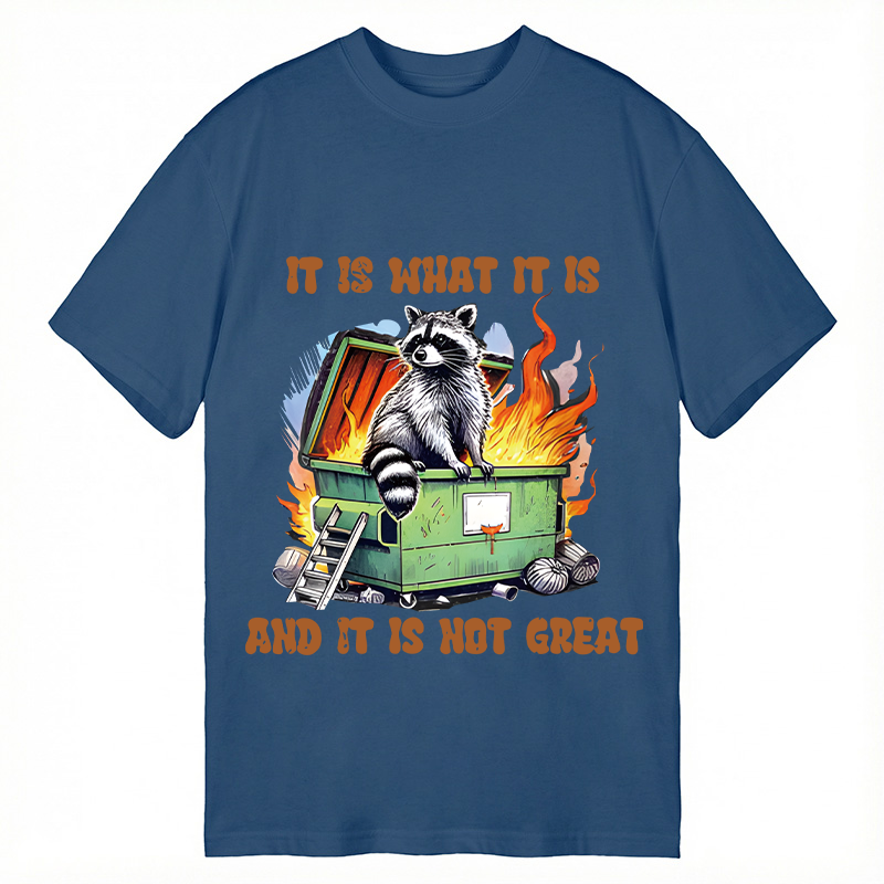 Tokyocanvas It is What Not Great Raccoon Meme Classic T-Shirt