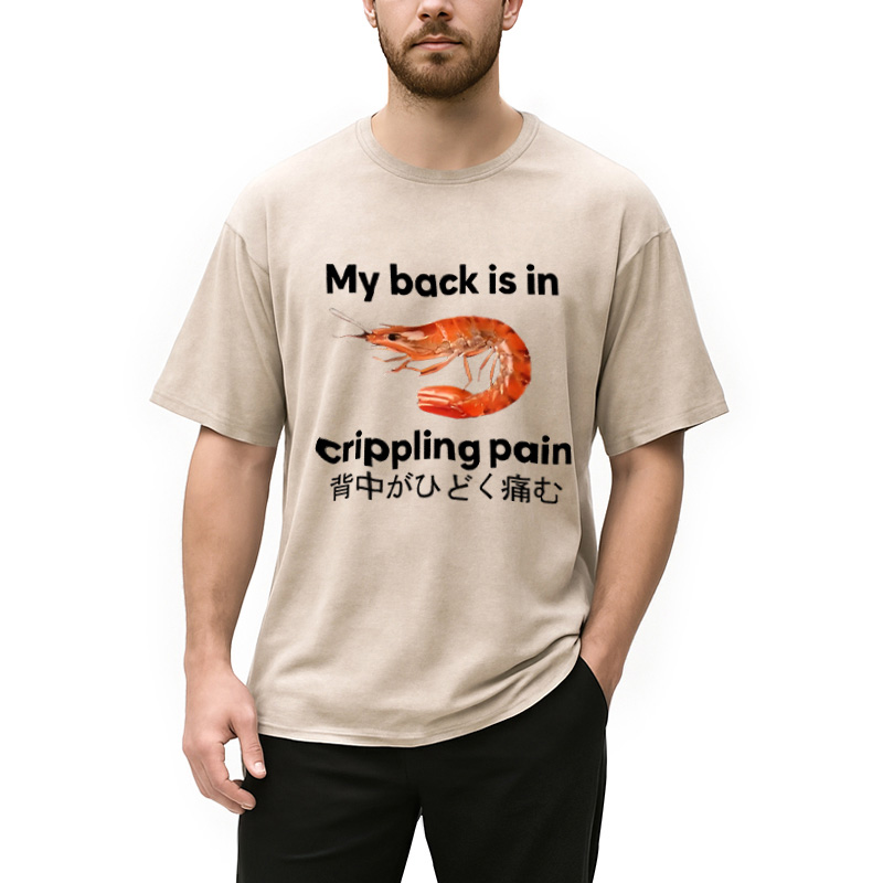 Tokyocanvas My Back Is in Crippling Pain Washed T-Shirt