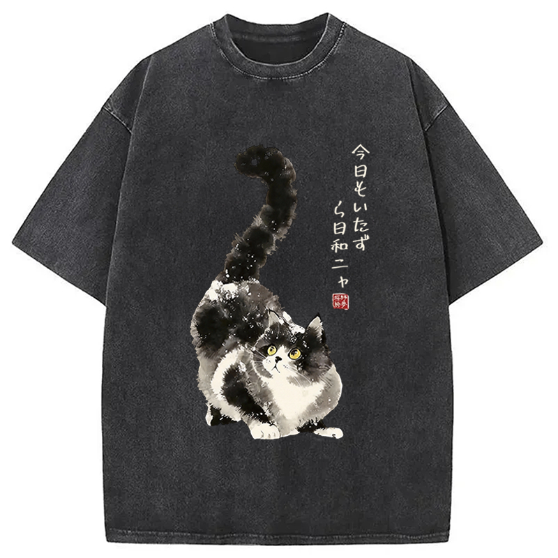 Tokyocanvas Every Day's A Prank Day Washed T-Shirt