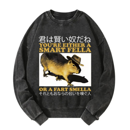 Tokyocanvas Smart Fella Fart Smella Capybara Washed Sweatshirt