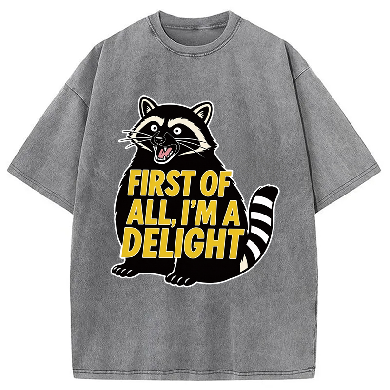 Tokyocanvas First of All I'm a Delight Raccoon Washed T-Shirt