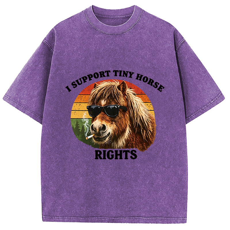 Tokyocanvas Frog Wizard Riding A Horse Washed T-Shirt