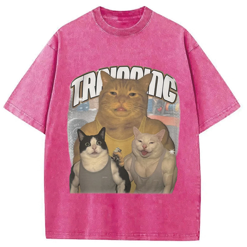 Tokyocanvas Muscle Cats Washed T-Shirt
